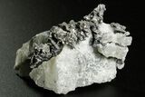 Native Silver in Calcite - Morocco #362738-1